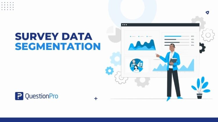 survey-data-segmentation