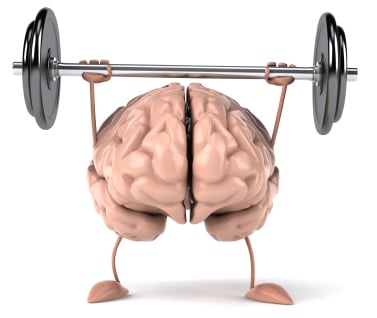 brain weights