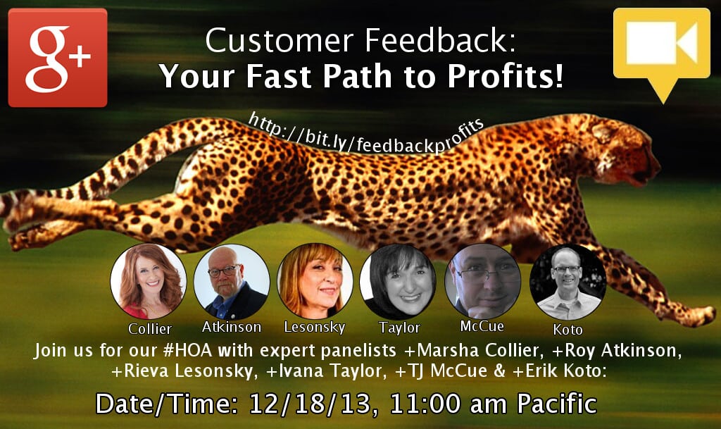 feedback-profits-cheetah