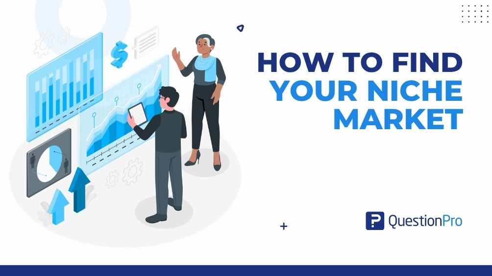 how-to-find-your-niche-market