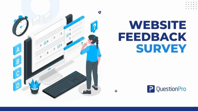 website-feedback-survey