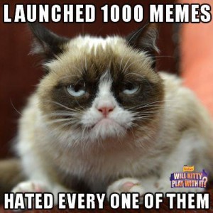 cat launched a thousand memes
