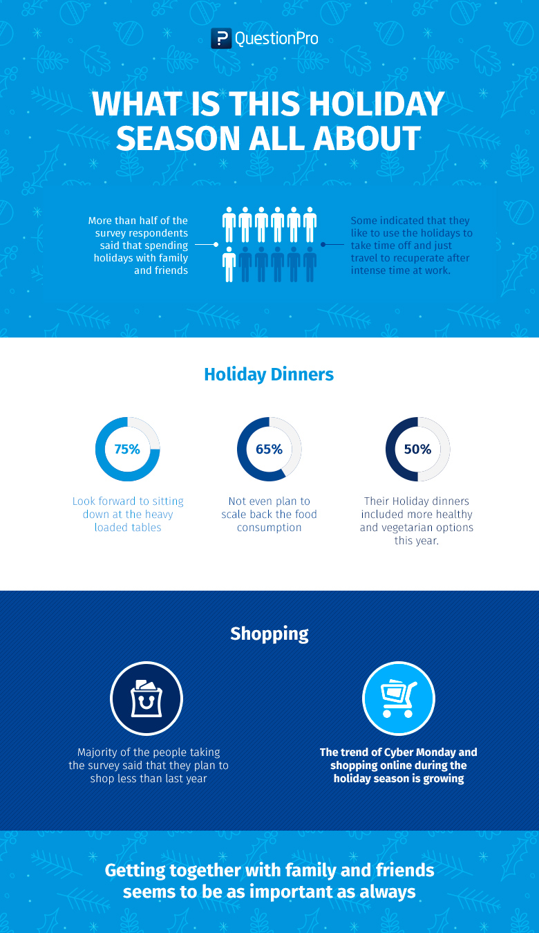 Holiday Survey Infographic