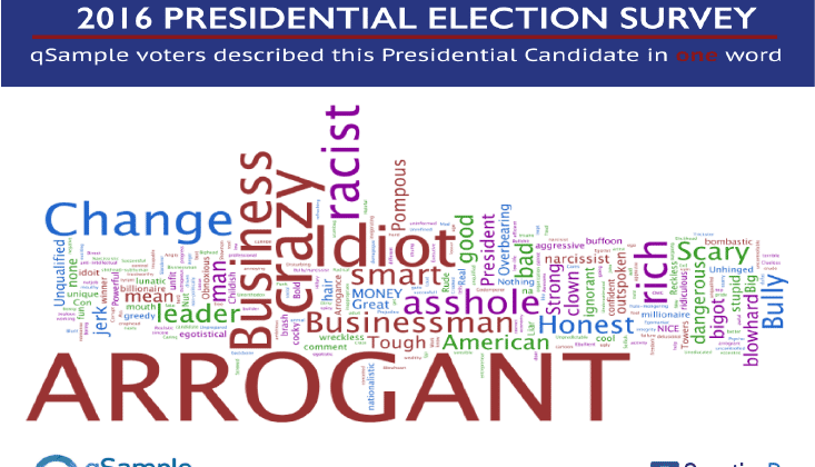 Presidential Election Survey: Voters Describe Candidates in One Word