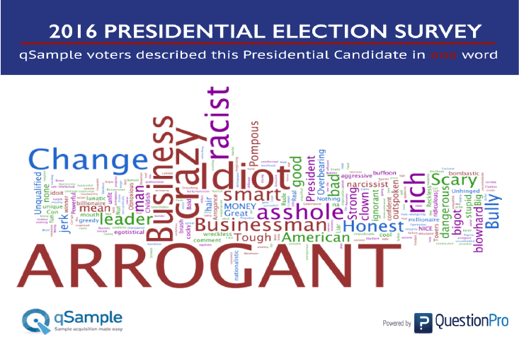 Presidential Election Survey: Voters Describe Candidates in One Word