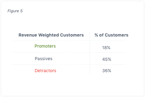 Revenue Weighted NPS - Customer Experience - Figure 5