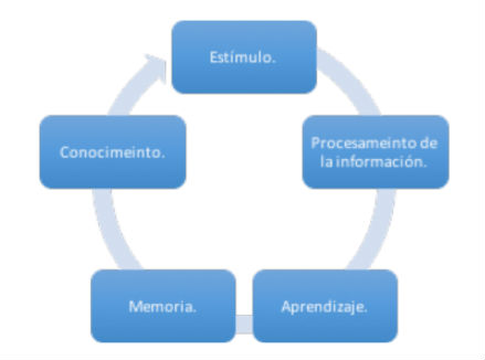 Qué influye en los consumidores para comprar