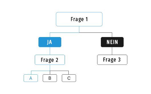 Create branching logic for surveys