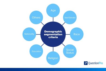 demographic segmentation questionpro
