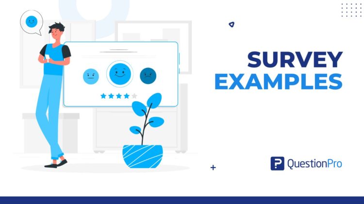 survey-examples