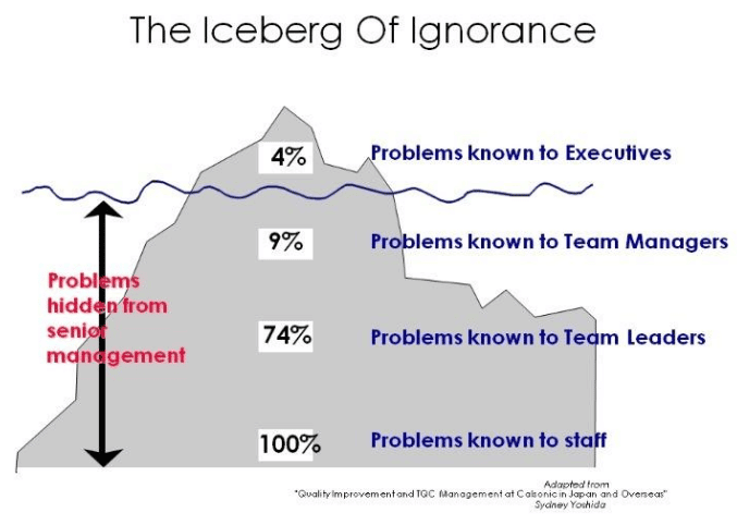 The iceberg of ignorance