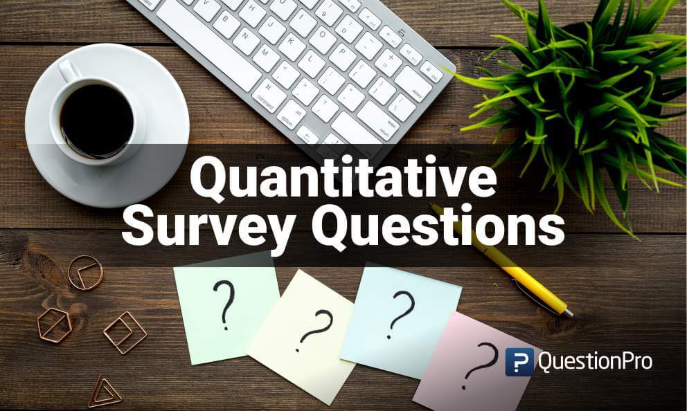 Quantitative survey questions