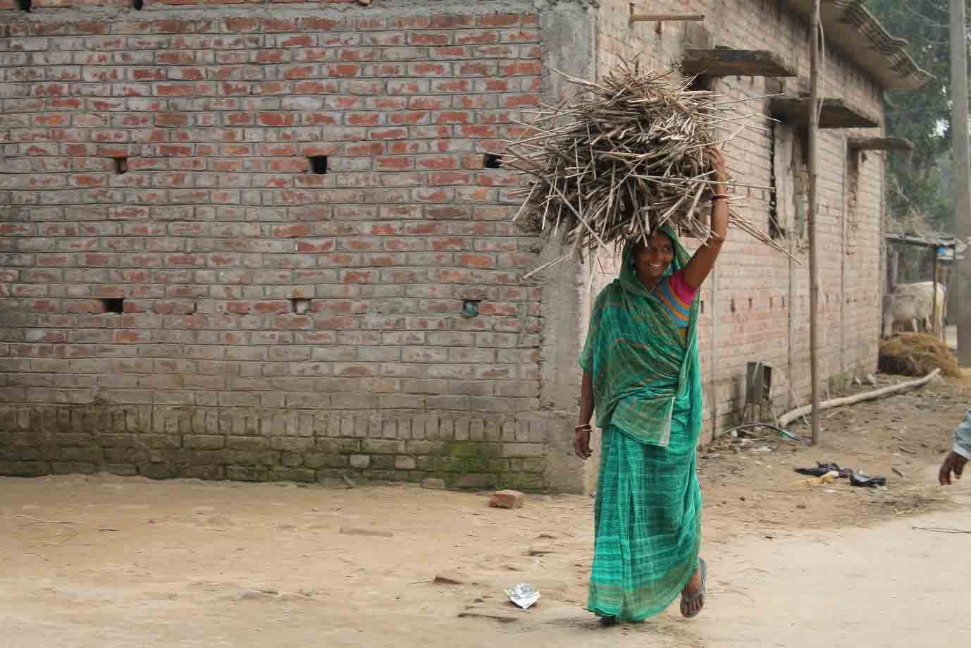 Illustration 6: Sheila, an Aasha worker, collecting wood for cooking meals. Baharbari village, Bihar