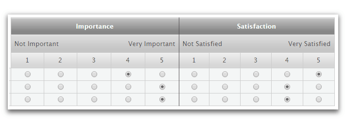 Importance Rating Scale