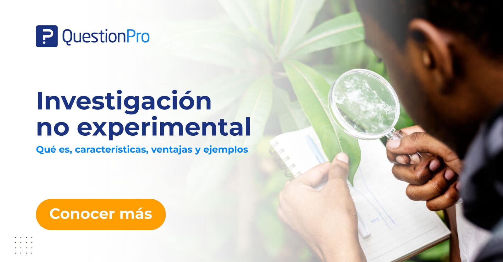 Investigación no experimental: Qué es, características y ejemplos