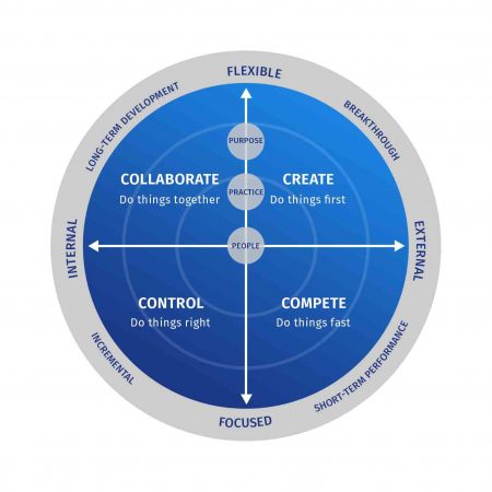 Culture Assessment Framework 