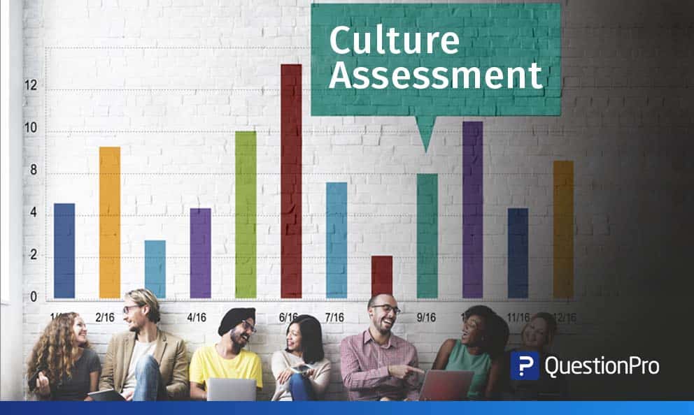Culture Assessment