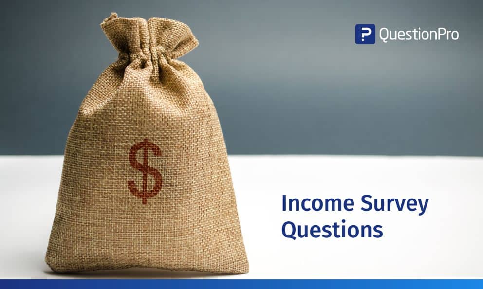 Income Survey Questions