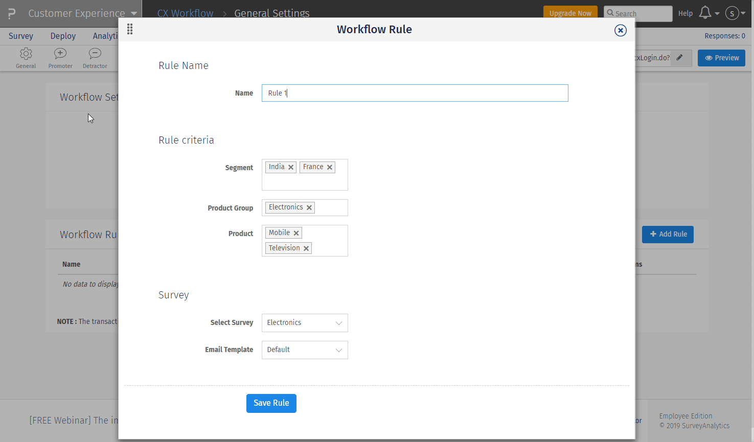 Customer Experience Surveys Workflow