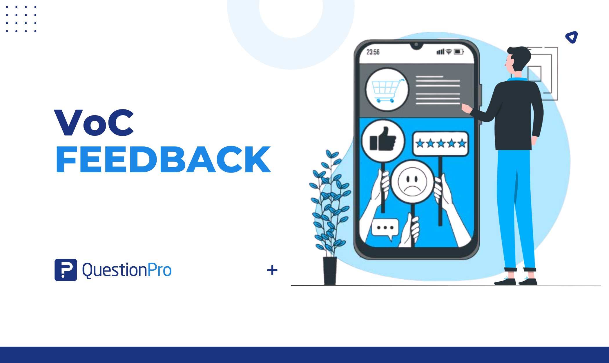 VoC Feedback