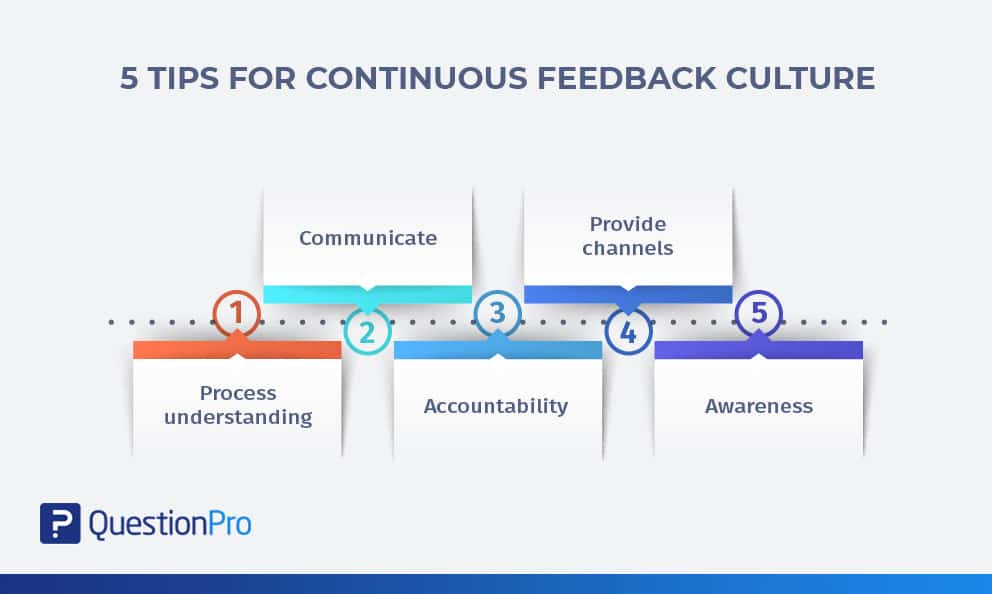 continuous-feedback-culture