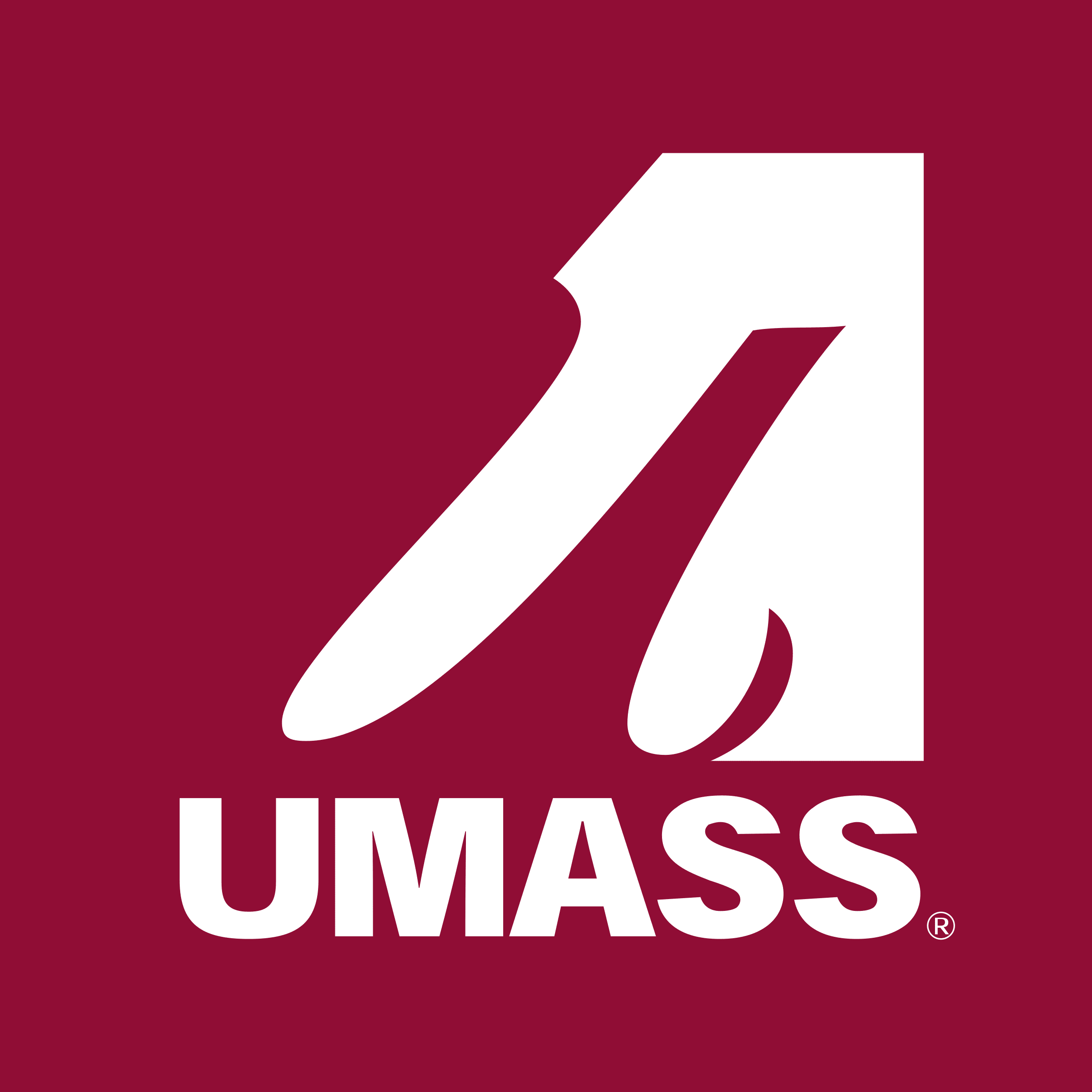 université du massachusetts