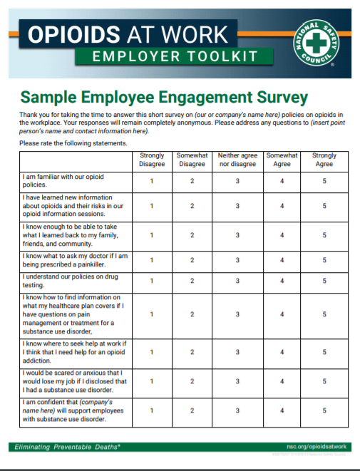 Employee Morale Survey Templates