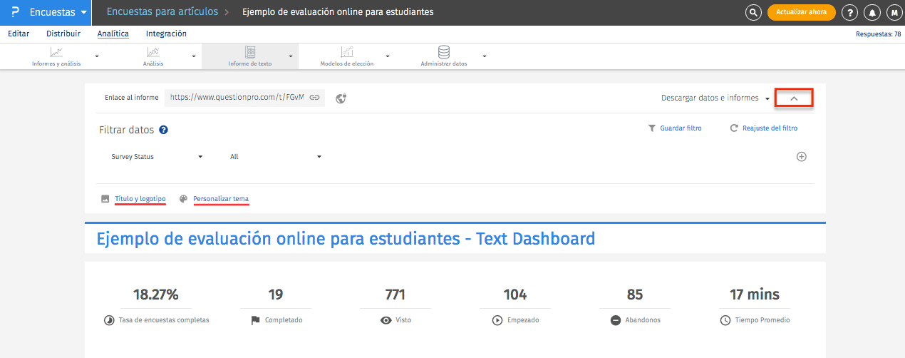 personalizar el informe para filtrar texto