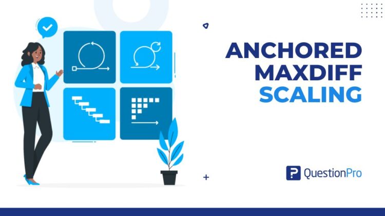 anchored-maxdiff-scaling