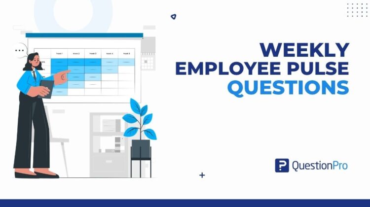 weekly-employee-pulse-questions