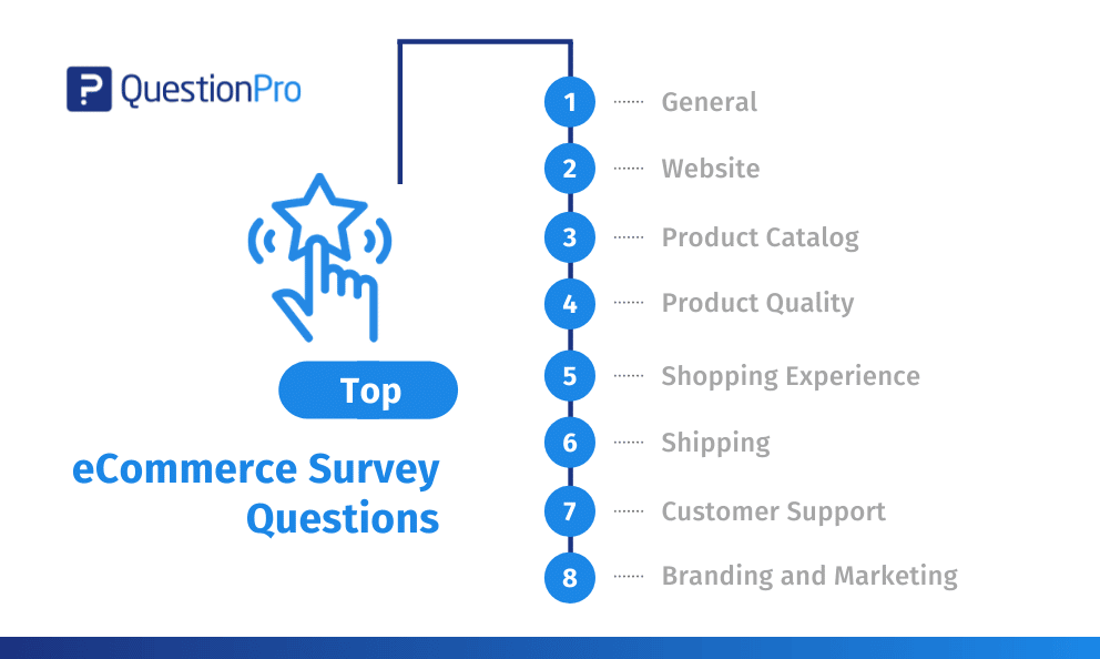 Ecommerce Survey Questions