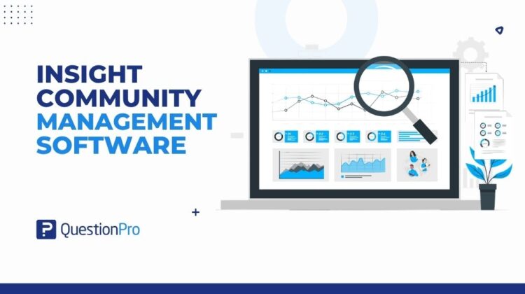 insight-community-management-software