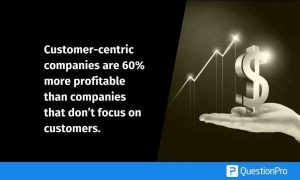 roi of customer experience program