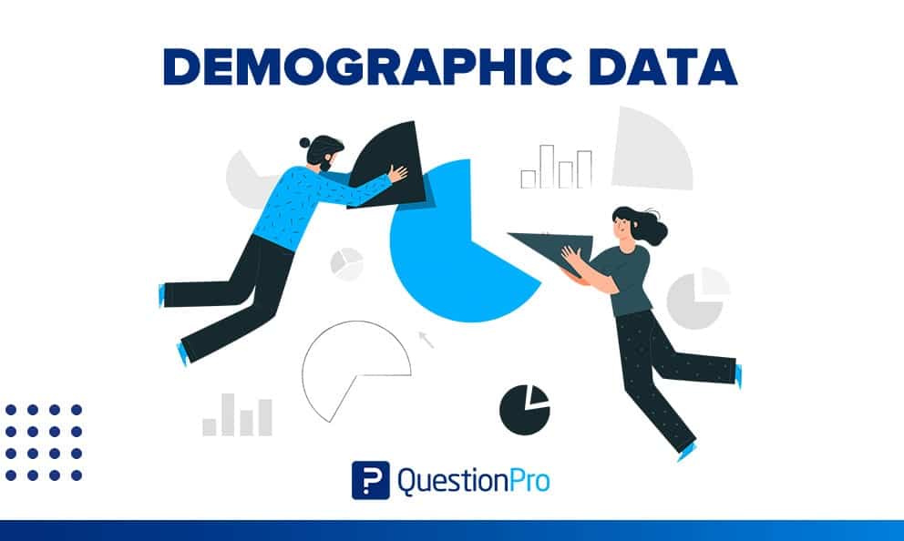 Demographic Data: What it is, how to get it & free examples