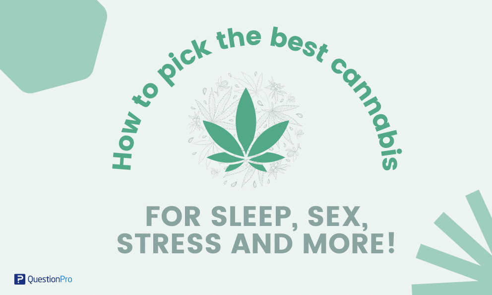 Cannabis Survey: Best Strain for Sleep, Sex & Stress
