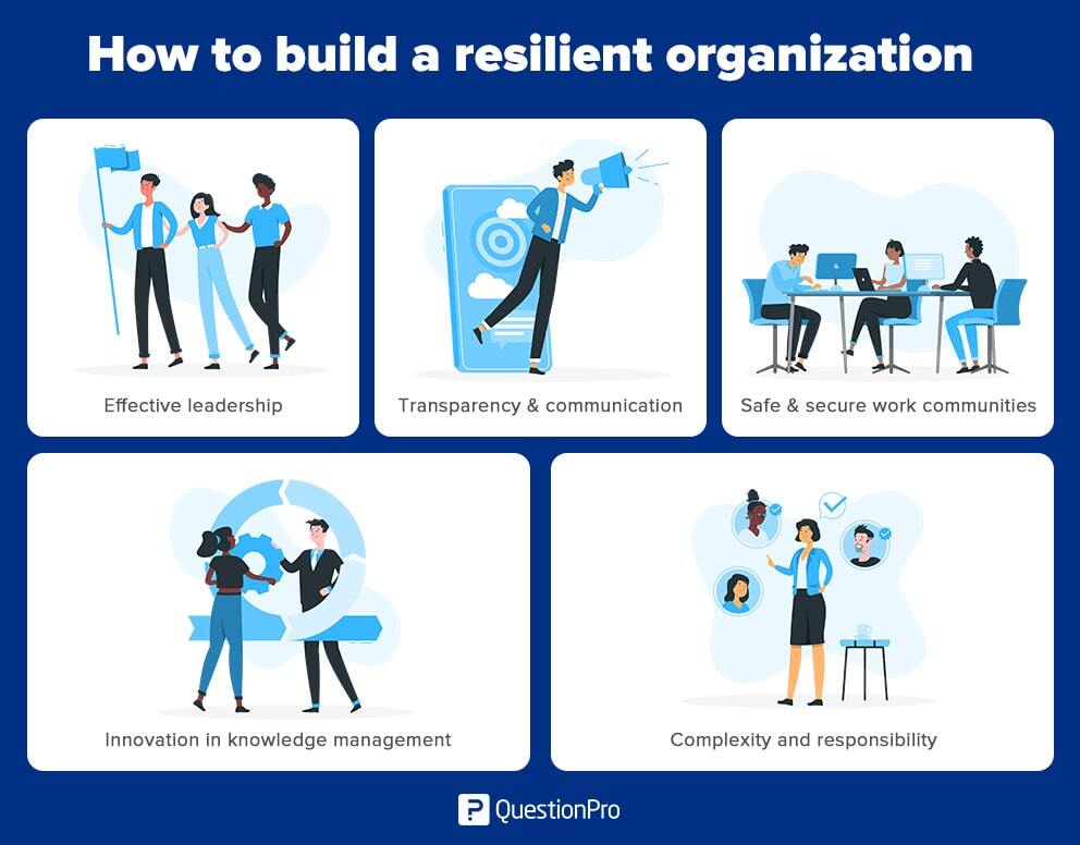 how to build a resilient organization