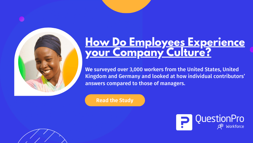 How do employees experience your company culture?