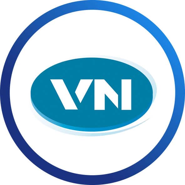 logo villanett