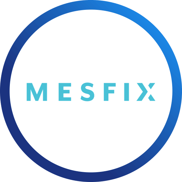 Logo Mesfix