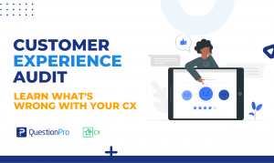 Customer Experience Audit