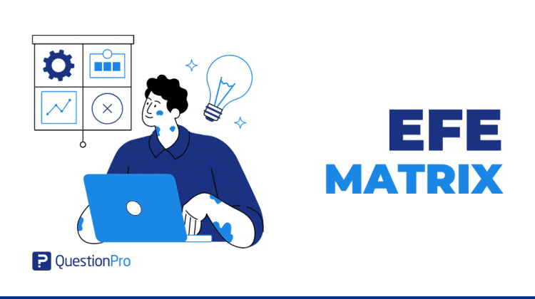 The EFE matrix helps businesses identify benefits and dangers. This blog will help use the EFE Matrix to stay ahead in today's dynamic world.