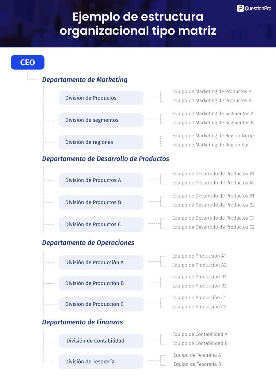 ejemplo de estructura organizacional tipo matriz