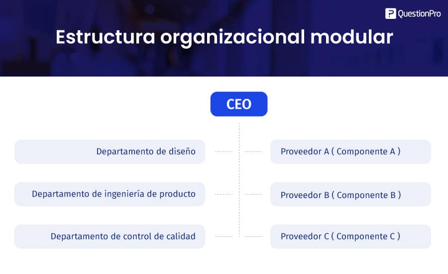 estructura organizacional modular