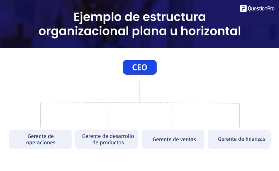 estructura organizacional plana u horizontal
