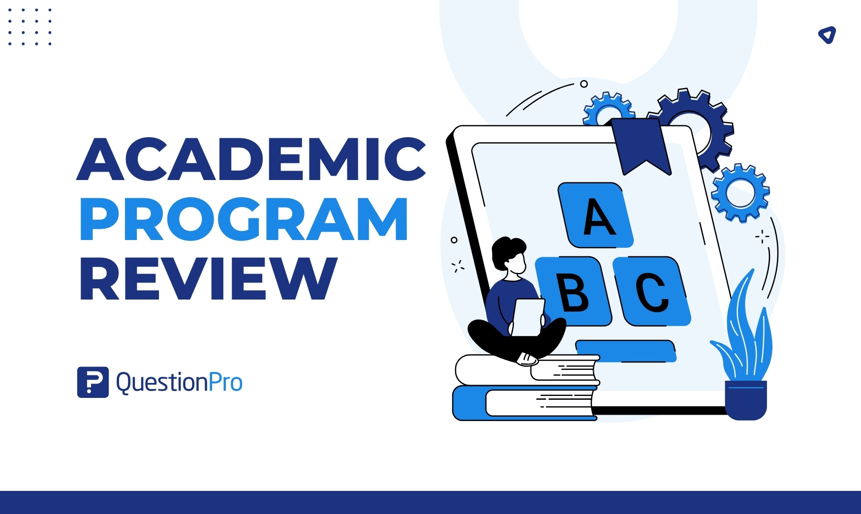 academic program review