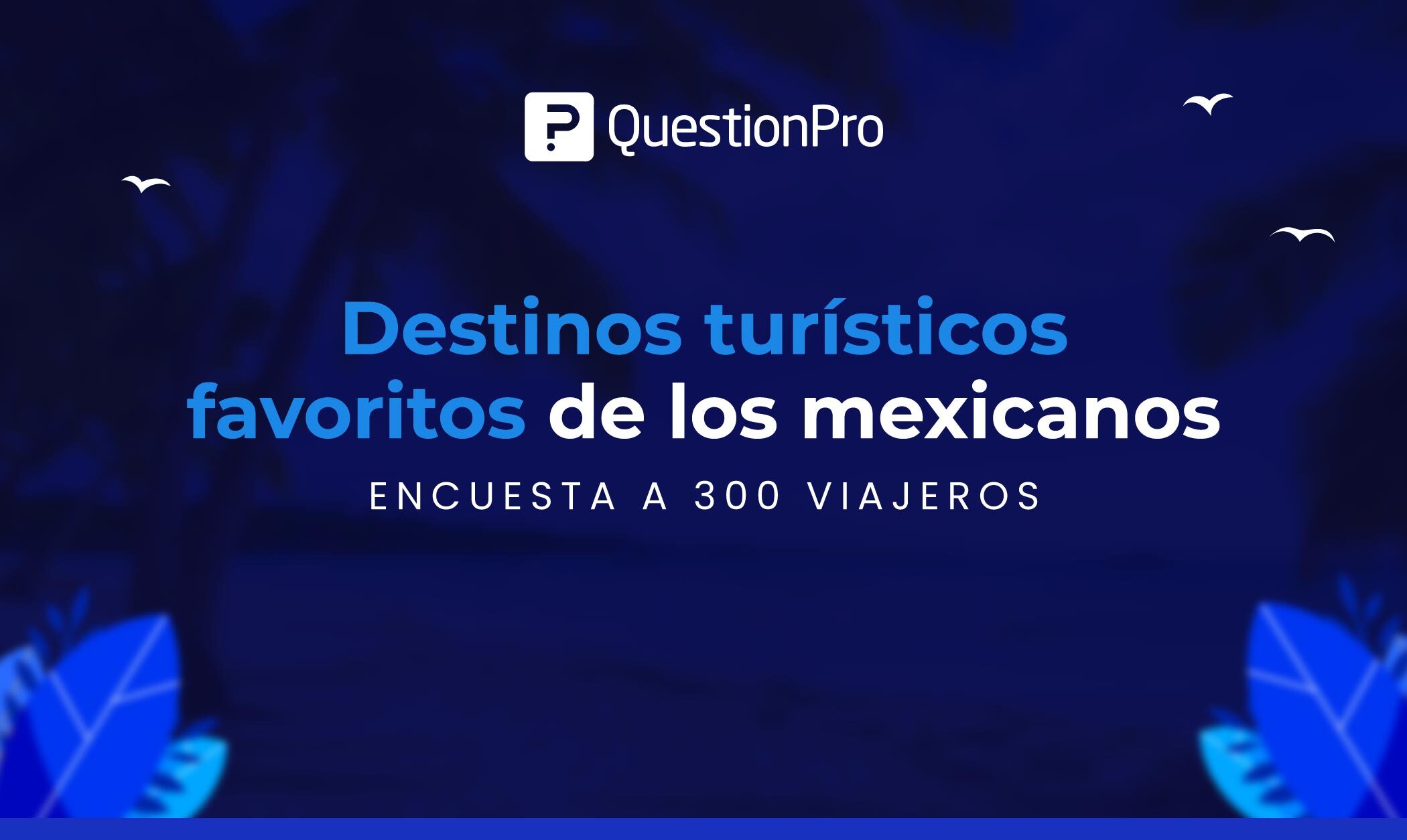 Destinos turísticos favoritos de los mexicanos: Encuesta a 300 viajeros