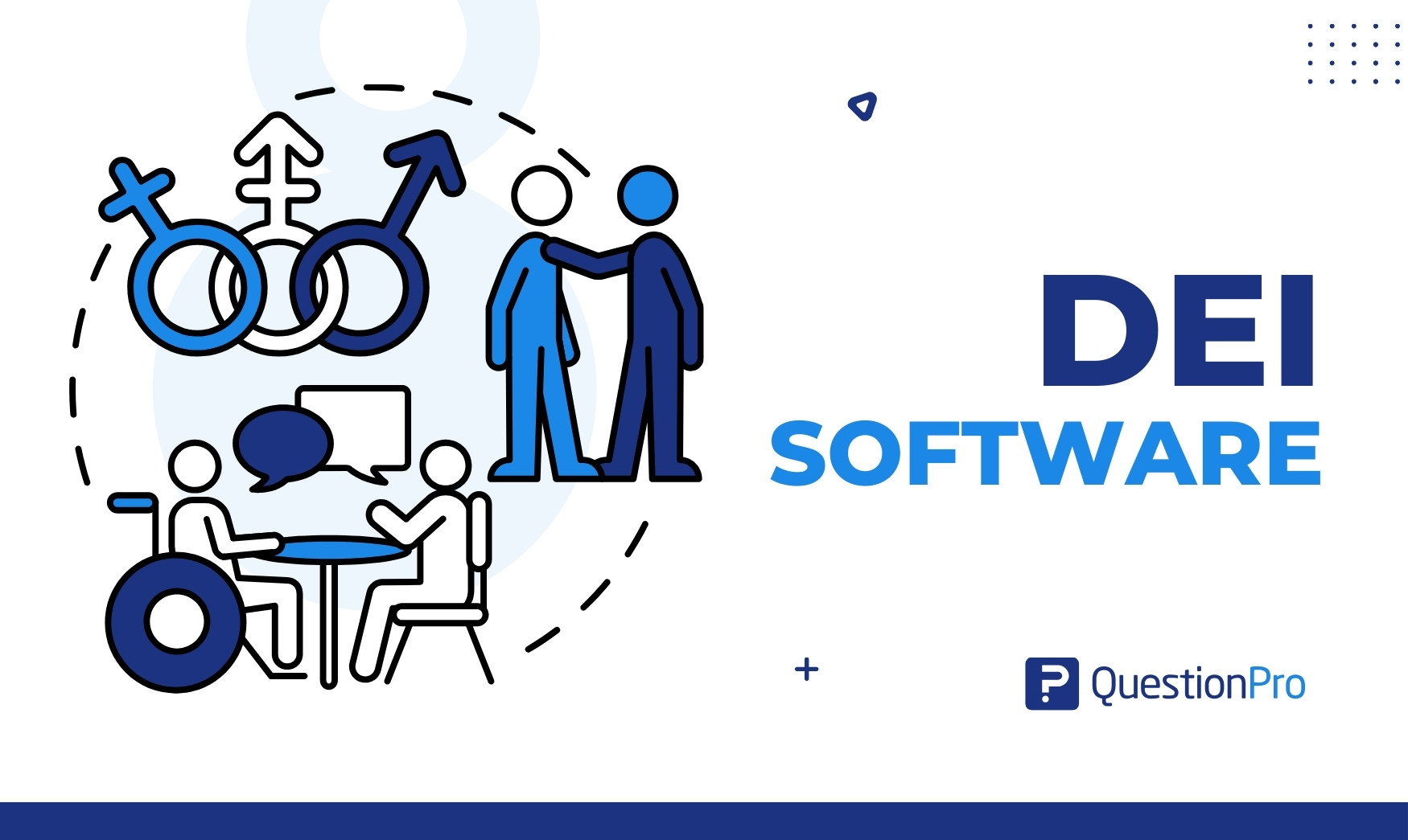 DEI software