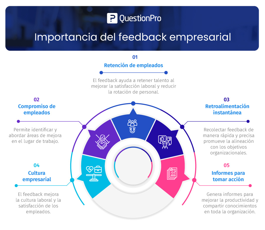 importancia del feedback empresarial