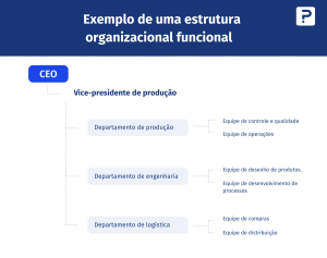 Estrutura organizacional: definição, benefícios e tipos