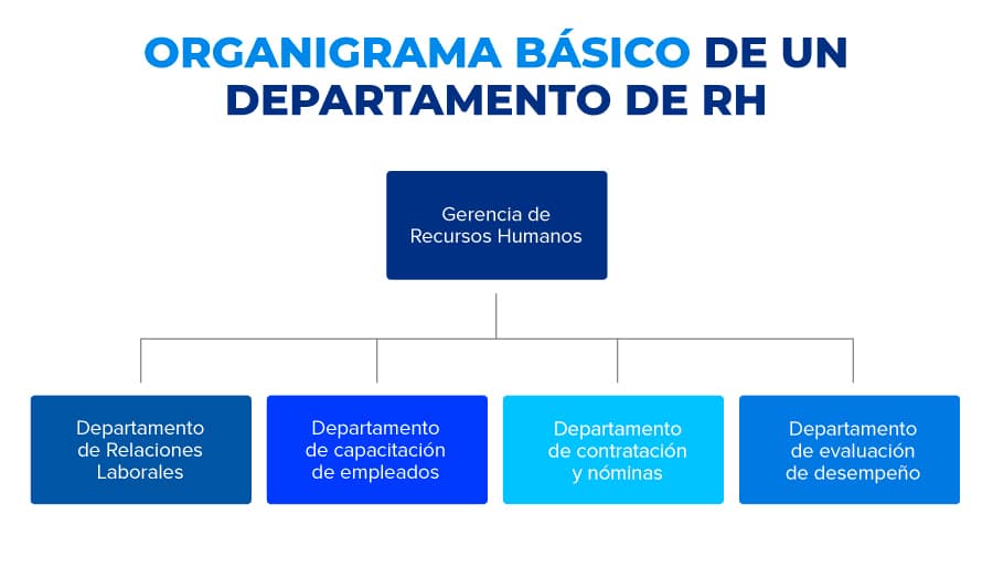 ejemplo de un organigrama de recursos humanos